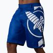 Treniruočių šortai Hayabusa Icon Fight blue/white
