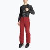 Vyriškos slidinėjimo kelnės CMP 3W17397N chili