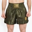 Vyriški bokso šortai LEONE 1947 Basic 2 green