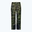 Vyriškos slidinėjimo kelnės Oakley Divisional Cargo Shell Pant tiger camo green