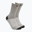 Vyriškos kojinės Oakley Seeker Long cement