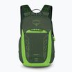 Vaikiška turistinė kuprinė Osprey Talon Jr 11 l green canopy
