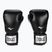 Everlast Pro Style 2 bokso pirštinės juodos EV2120 BLK