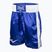Vyriški treniruočių šortai Everlast Trunks Pro blue/white