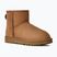 Moteriški sniego batai UGG Classic Mini II chestnut