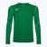 Vyriški futbolo marškinėliai ilgomis rankovėmis Nike Dri-FIT Park 20 Crew pine green/white/white