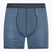 Vyriškos trumpikės Patagonia Essential Boxer Briefs 6" fathom stripe/new navy