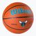 Wilson NBA Team Alliance Charlotte Hornets krepšinio WTB3100XBCHA dydis 7