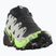 Vyriški bėgimo bateliai Salomon Speedcross 6 GTX black/alloy/green gecko
