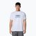 Vyriški marškinėliai Columbia Ice Lake II SS Tee white/peak direction