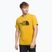 Vyriški trekingo marškinėliai The North Face Easy yellow NF0A2TX376S1