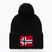 Vyriška žieminė kepurė Napapijri Semiury 5 black