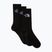 Žygio kojinės The North Face Multi Sport Cush Crew Sock 3 poros black