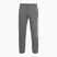 Vyriškos kelnės The North Face Varsity Graphic medium grey heather