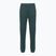 Moteriškos kelnės The North Face Mountain Athletics Fleece deep cypress/space