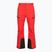 Vyriškos slidinėjimo kelnės The North Face Chakal Regular elevation red