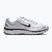 Vyriški batai Nike P-6000 white/metallic silver/black/black