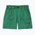 Moteriški šortai Patagonia Outdoor Everyday heartleaf green