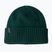 Žieminė kepurė Patagonia Brodeo Beanie cascade green