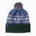 Žieminė kepurė Patagonia Powder Town park stripe: barnacle blue