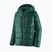 Vyriška pūsta striukė Patagonia Fitz Roy Down Hoody cascade green