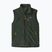 Vyriška liemenė Patagonia Retro Pile Fleece old growth green