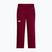 Moteriškos slidinėjimo kelnės The North Face Lenado burgundy crush
