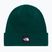 Žieminė kepurė The North Face Dock Worker Recycled Beanie hunter green