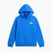 Vaikiškas džemperis The North Face Evolution Box NSE Pullover Hoodies active blue