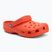 Šlepetės Crocs Classic starfish