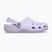 Šlepetės Crocs Classic purple halo