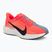 Moteriški bėgimo bateliai Nike Pegasus Plus hot lava/orange pulse/dark raisin
