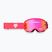 Dviračių akiniai Fox Racing Main Core spark pink/clear