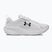 Moteriški bėgimo batai Under Armour Assert 11 white/black/distant gray