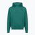 Vyriškas džemperis su gobtuvu Under Armour Rival LW Hoodie rack green/black