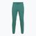 Vyriškos kelnės Under Armour Rival LW Graphic Jogger rack green/black