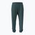 Vyriškos kelnės Under Armour Rival LW Graphic Jogger rack green/black