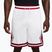 Vyriški krepšinio šortai  Jordan Sport Dri-FIT 9" Diamond white/gym red/white