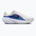 Vyriški bėgimo batai Nike Downshifter 14 platinum tint/black/white/off noir