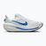 Vyriški bėgimo batai Nike Winflo 12 white/off white/lapis/blue crystal