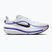 Vyriški bėgimo batai Nike Winflo 12 off white/white/wolf grey/black