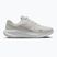 Moteriški bėgimo batai Nike Journey Run summit white/metallic silver