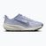 Moteriški bėgimo batai Nike ACG Pegasus Trail ghost/mineral slate/cement grey