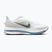 Vyriški bėgimo batai Nike Pegasus Premium white/hydrogen blue/aluminum/grey fog