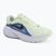 Vyriški bėgimo batai Nike Downshifter 14 colt tint/white/black/black spruce