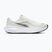 Moteriški bėgimo batai Nike Revolution 8 sail/white/black/metallic silver