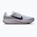 Vyriški bėgimo batai Nike Quest 7 pure platinum/white/wolf grey/black