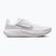 Vyriški bėgimo batai Nike Quest 7 white/vast grey/vast grey/wolf grey