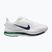 Vyriški bėgimo batai Nike Pegasus Premium white/midnight navy/green spark