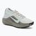 Vyriški bėgimo batai Nike ACG Pegasus Trail GORE-TEX Light Silver/Light Army/Light Silver